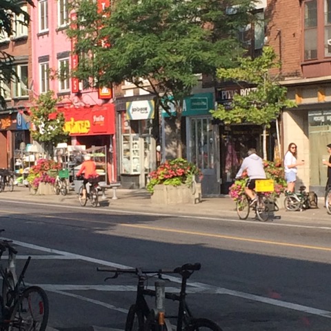 2017 AUG 26 the view of Bloor cyclists